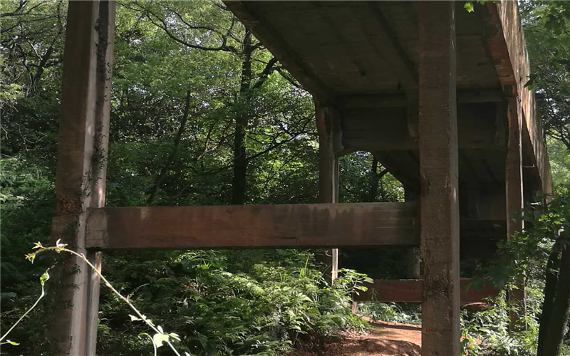株洲市水務投資集團有限公司第三水廠取水棧橋結(jié)構(gòu)加固工程
